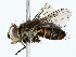  ( - BIOUG85511-D04)  @11 [ ] CreativeCommons - Attribution (2022) CBG Photography Group Centre for Biodiversity Genomics