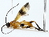  ( - BIOUG85511-F10)  @11 [ ] CreativeCommons - Attribution (2022) CBG Photography Group Centre for Biodiversity Genomics