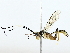  ( - BIOUG85511-G06)  @11 [ ] CreativeCommons - Attribution (2022) CBG Photography Group Centre for Biodiversity Genomics