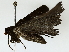  ( - BIOUG85512-H08)  @11 [ ] CreativeCommons - Attribution (2022) CBG Photography Group Centre for Biodiversity Genomics