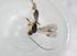  (Heterospilus Malaise7185 - BIOUG90533-E01)  @11 [ ] CreativeCommons - Attribution (2022) Centre for Biodiversity Genomics Centre for Biodiversity Genomics