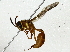  ( - BIOUG85483-H09)  @11 [ ] CreativeCommons - Attribution (2022) CBG Photography Group Centre for Biodiversity Genomics