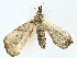  ( - BIOUG85484-B09)  @11 [ ] CreativeCommons - Attribution (2022) CBG Photography Group Centre for Biodiversity Genomics