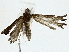  ( - BIOUG85484-E03)  @11 [ ] CreativeCommons - Attribution (2022) CBG Photography Group Centre for Biodiversity Genomics