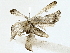  ( - BIOUG85484-E04)  @11 [ ] CreativeCommons - Attribution (2022) CBG Photography Group Centre for Biodiversity Genomics
