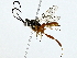  ( - BIOUG85484-G04)  @11 [ ] CreativeCommons - Attribution (2022) CBG Photography Group Centre for Biodiversity Genomics