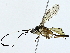  ( - BIOUG85485-A04)  @11 [ ] CreativeCommons - Attribution (2022) CBG Photography Group Centre for Biodiversity Genomics