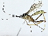  ( - BIOUG85485-A05)  @11 [ ] CreativeCommons - Attribution (2022) CBG Photography Group Centre for Biodiversity Genomics