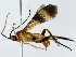  ( - BIOUG85494-G12)  @11 [ ] CreativeCommons - Attribution (2022) CBG Photography Group Centre for Biodiversity Genomics