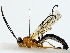  ( - BIOUG85495-E04)  @11 [ ] CreativeCommons - Attribution (2022) CBG Photography Group Centre for Biodiversity Genomics