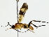  ( - BIOUG85495-H04)  @11 [ ] CreativeCommons - Attribution (2022) CBG Photography Group Centre for Biodiversity Genomics