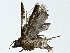  ( - BIOUG85496-E12)  @11 [ ] CreativeCommons - Attribution (2022) CBG Photography Group Centre for Biodiversity Genomics