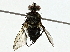  ( - BIOUG85496-F01)  @11 [ ] CreativeCommons - Attribution (2022) CBG Photography Group Centre for Biodiversity Genomics