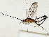  ( - BIOUG85496-H01)  @11 [ ] CreativeCommons - Attribution (2022) CBG Photography Group Centre for Biodiversity Genomics