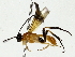  ( - BIOUG85513-H07)  @11 [ ] CreativeCommons - Attribution (2022) CBG Photography Group Centre for Biodiversity Genomics