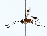  ( - BIOUG85514-A08)  @11 [ ] CreativeCommons - Attribution (2022) CBG Photography Group Centre for Biodiversity Genomics