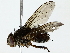  ( - BIOUG85514-H08)  @11 [ ] CreativeCommons - Attribution (2022) CBG Photography Group Centre for Biodiversity Genomics