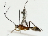  ( - BIOUG85515-F03)  @11 [ ] CreativeCommons - Attribution (2022) CBG Photography Group Centre for Biodiversity Genomics