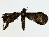  ( - BIOUG89981-B01)  @11 [ ] CreativeCommons - Attribution (2022) CBG Photography Group Centre for Biodiversity Genomics