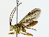  ( - BIOUG89981-E02)  @11 [ ] CreativeCommons - Attribution (2022) CBG Photography Group Centre for Biodiversity Genomics