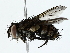 ( - BIOUG89982-D04)  @11 [ ] CreativeCommons - Attribution (2022) CBG Photography Group Centre for Biodiversity Genomics
