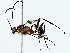  ( - BIOUG89982-F04)  @11 [ ] CreativeCommons - Attribution (2022) CBG Photography Group Centre for Biodiversity Genomics