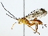  ( - BIOUG89982-F07)  @11 [ ] CreativeCommons - Attribution (2022) CBG Photography Group Centre for Biodiversity Genomics