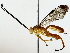  ( - BIOUG89982-G02)  @11 [ ] CreativeCommons - Attribution (2022) CBG Photography Group Centre for Biodiversity Genomics