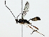  ( - BIOUG89982-H08)  @11 [ ] CreativeCommons - Attribution (2022) CBG Photography Group Centre for Biodiversity Genomics