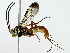  ( - BIOUG89982-H09)  @11 [ ] CreativeCommons - Attribution (2022) CBG Photography Group Centre for Biodiversity Genomics