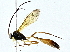  ( - BIOUG89983-A08)  @11 [ ] CreativeCommons - Attribution (2022) CBG Photography Group Centre for Biodiversity Genomics