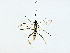  ( - BIOUG89983-B03)  @11 [ ] CreativeCommons - Attribution (2022) CBG Photography Group Centre for Biodiversity Genomics