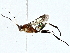  ( - BIOUG89983-B05)  @11 [ ] CreativeCommons - Attribution (2022) CBG Photography Group Centre for Biodiversity Genomics