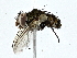  ( - BIOUG89983-C06)  @11 [ ] CreativeCommons - Attribution (2022) CBG Photography Group Centre for Biodiversity Genomics