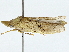  ( - BIOUG89983-F07)  @14 [ ] CreativeCommons - Attribution (2022) CBG Photography Group Centre for Biodiversity Genomics