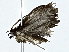  ( - BIOUG89983-G04)  @11 [ ] CreativeCommons - Attribution (2022) CBG Photography Group Centre for Biodiversity Genomics
