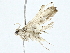 (spiloBioLep01 BioLep4612 - BIOUG89983-G06)  @11 [ ] CreativeCommons - Attribution (2022) CBG Photography Group Centre for Biodiversity Genomics
