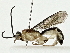  ( - BIOUG89996-C01)  @11 [ ] CreativeCommons - Attribution (2022) CBG Photography Group Centre for Biodiversity Genomics