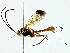  ( - BIOUG89996-C03)  @11 [ ] CreativeCommons - Attribution (2022) CBG Photography Group Centre for Biodiversity Genomics