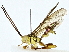  ( - BIOUG89996-C08)  @11 [ ] CreativeCommons - Attribution (2022) CBG Photography Group Centre for Biodiversity Genomics
