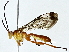  ( - BIOUG89996-E11)  @11 [ ] CreativeCommons - Attribution (2022) CBG Photography Group Centre for Biodiversity Genomics