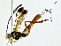  ( - BIOUG89996-F02)  @11 [ ] CreativeCommons - Attribution (2022) CBG Photography Group Centre for Biodiversity Genomics