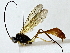 ( - BIOUG89996-F12)  @11 [ ] CreativeCommons - Attribution (2022) CBG Photography Group Centre for Biodiversity Genomics
