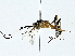  ( - BIOUG89998-B08)  @11 [ ] CreativeCommons - Attribution (2022) CBG Photography Group Centre for Biodiversity Genomics