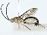  ( - BIOUG89998-C08)  @11 [ ] CreativeCommons - Attribution (2022) CBG Photography Group Centre for Biodiversity Genomics