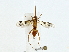  ( - BIOUG89998-D01)  @11 [ ] CreativeCommons - Attribution (2022) CBG Photography Group Centre for Biodiversity Genomics