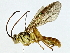  ( - BIOUG89998-D03)  @11 [ ] CreativeCommons - Attribution (2022) CBG Photography Group Centre for Biodiversity Genomics