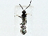  ( - BIOUG89998-D04)  @11 [ ] CreativeCommons - Attribution (2022) CBG Photography Group Centre for Biodiversity Genomics