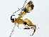  ( - BIOUG89998-D09)  @11 [ ] CreativeCommons - Attribution (2022) CBG Photography Group Centre for Biodiversity Genomics