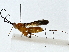  ( - BIOUG89998-D12)  @11 [ ] CreativeCommons - Attribution (2022) CBG Photography Group Centre for Biodiversity Genomics